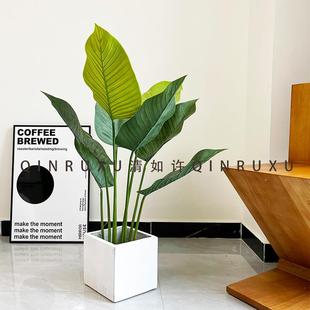 北欧绿植客厅落地龟背竹植物盆栽家居龟背叶装饰仿真热带植物巢蕨
