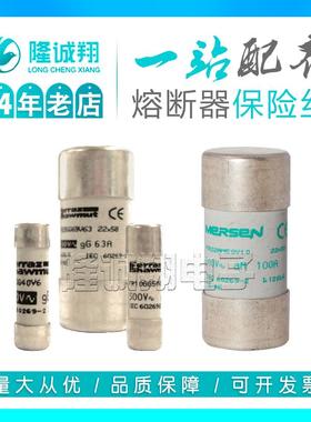 【熔断器保险丝】FR22AM69V40PtF215653 FR22AM69V50PtK216669