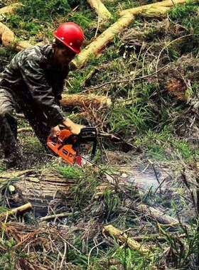 52CC大功率汽油锯20寸园林机械工具高品质伐木锯零件油锯大全配件