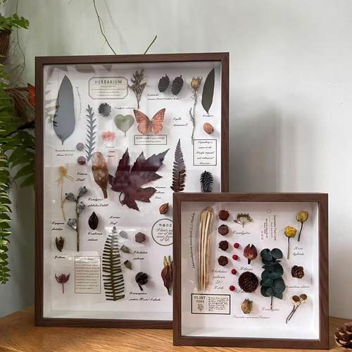 植物标本装饰画相框家居摆台法式复古百搭电视背景墙组合装饰画