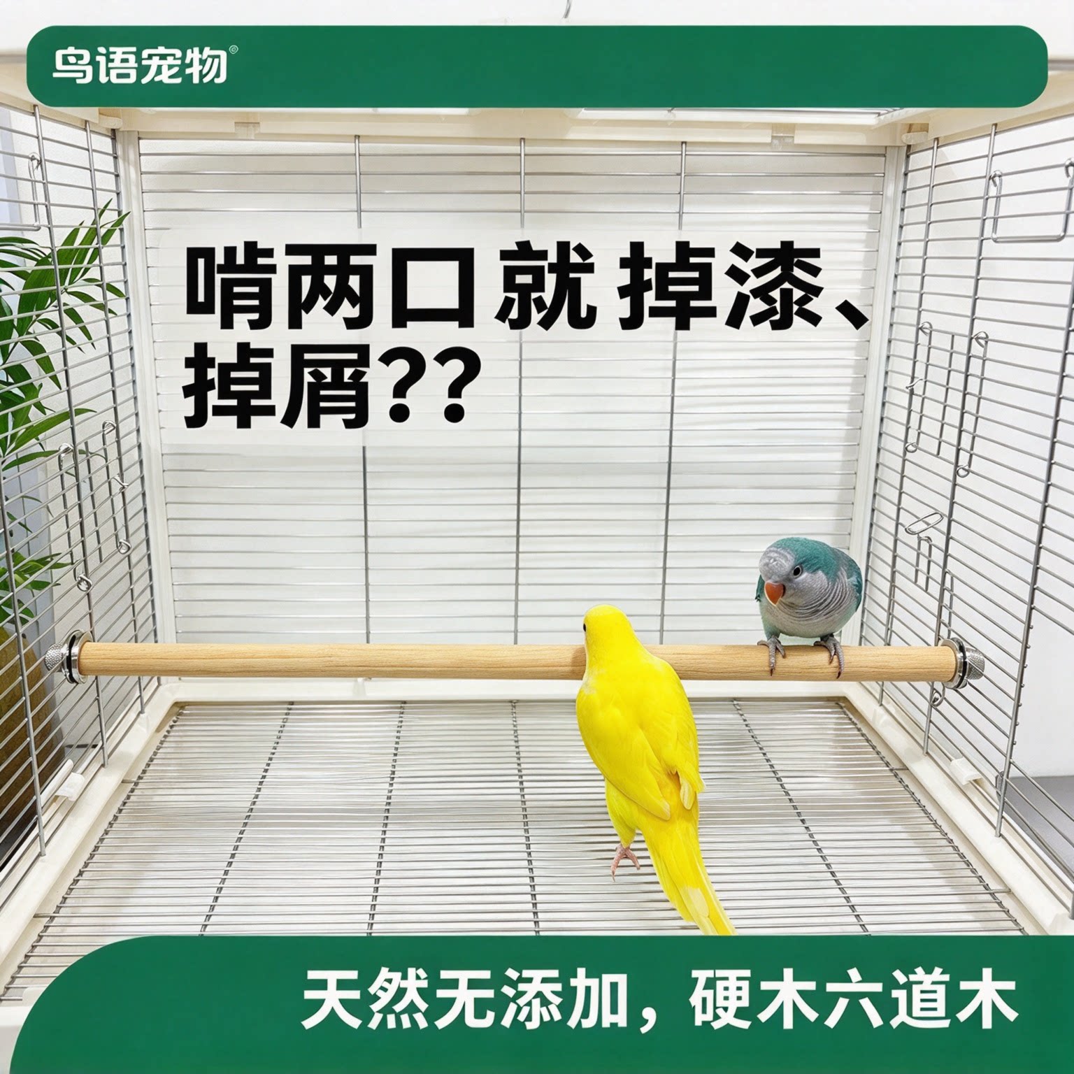 啃不烂耐磨的硬木鹦鹉站杆