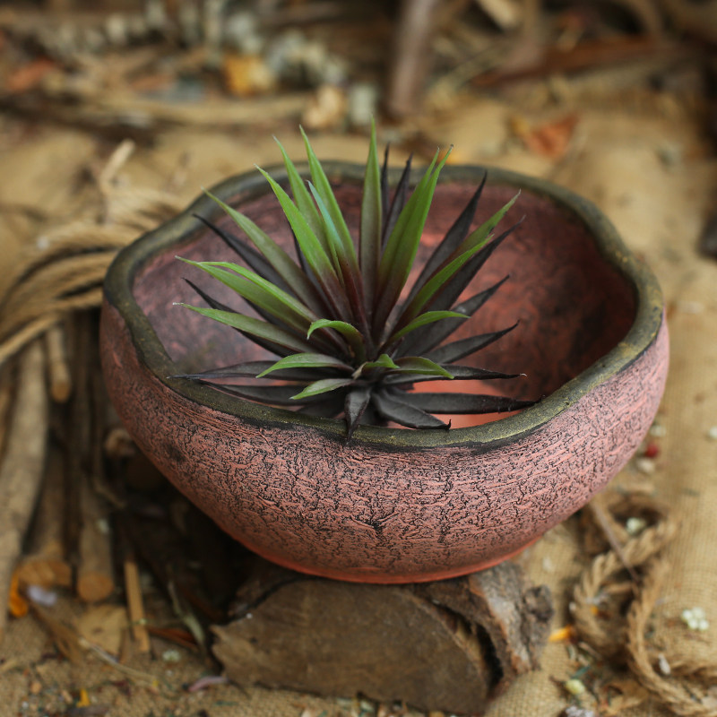 新复古多肉老桩植物陶罐粗陶客厅透F气陶盆陶土花盆大口径清仓土,鲜花速递/花卉仿真/绿植园艺,花盆,淘宝优惠券,粉丝福利购,淘宝优惠卷