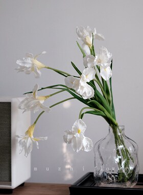 新白色鸢尾仿真花装饰摆件高级感客厅花束插花轻奢高Y端花艺餐桌