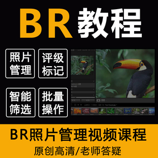 bridge视频教程Br2025看图选片bridge标星评级