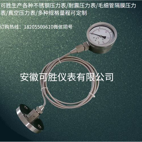 法兰DN25毛细软管延长连接不锈钢隔膜耐震压力表Y-100/0-60MPA