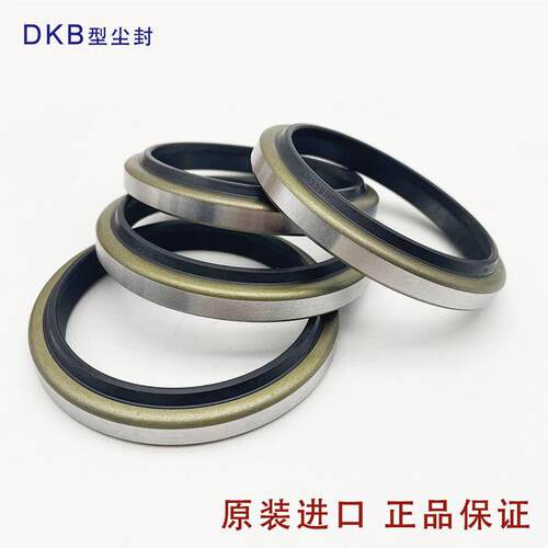 NOK进口AR2342E/AR2633G/AR2831F/AR3187G  DKB40/45/50/60防尘圈