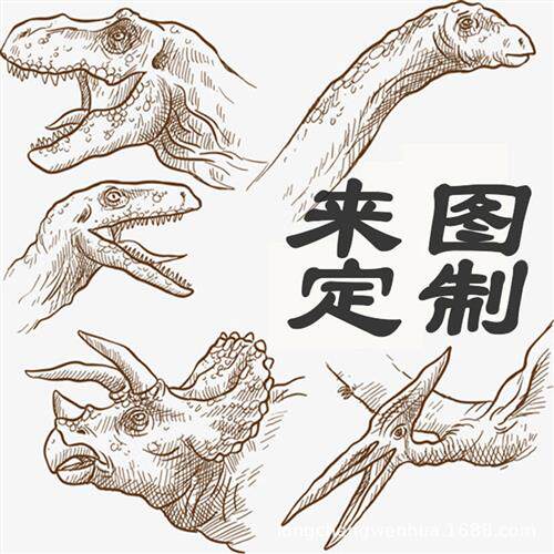 全新仿真恐龙骨架仿真化石骨头来图可做恐龙标本骨骼可租赁
