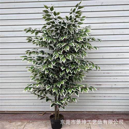 仿真白边榕树真木杆榕树仿真小榕树盆景工厂直销仿真绿植盆栽道具