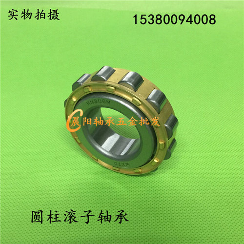 减速机配件偏心轴承RN205/RN206/RN307/RN309/RN312/RN219/RN现货
