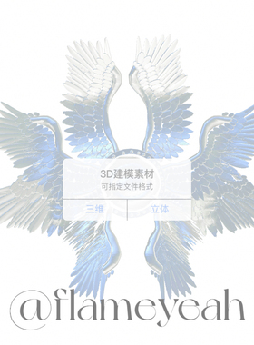 seraphim六翼天使翅膀仙女精灵少女公主翅膀文件3D模型建模stl