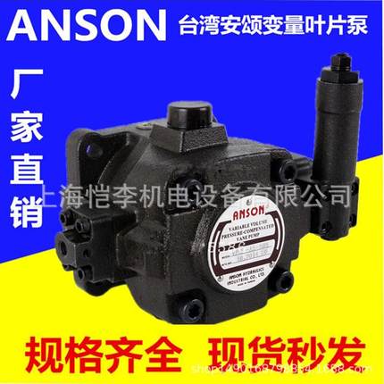 DENISON 丹尼逊 T6D-045-2R02-B1 T6D-050-2R02-B1