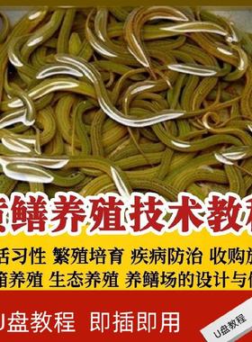 黄鳝养殖视频教程U盘鳝鱼育苗场地设计修建饲料配制优盘
