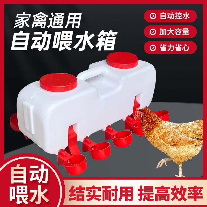 养鸡饮水器鸡鸭鹅自动喂水器喝水槽养殖鸡用自动饮水槽鸭子喝水槽