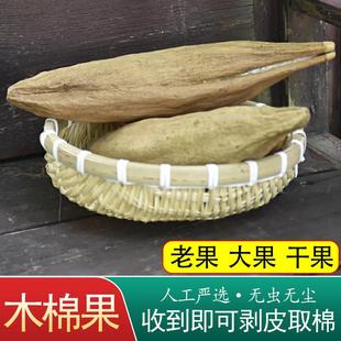 天然木棉果攀枝花枕芯有子木棉花有籽木棉带籽木棉枕头填充料含壳