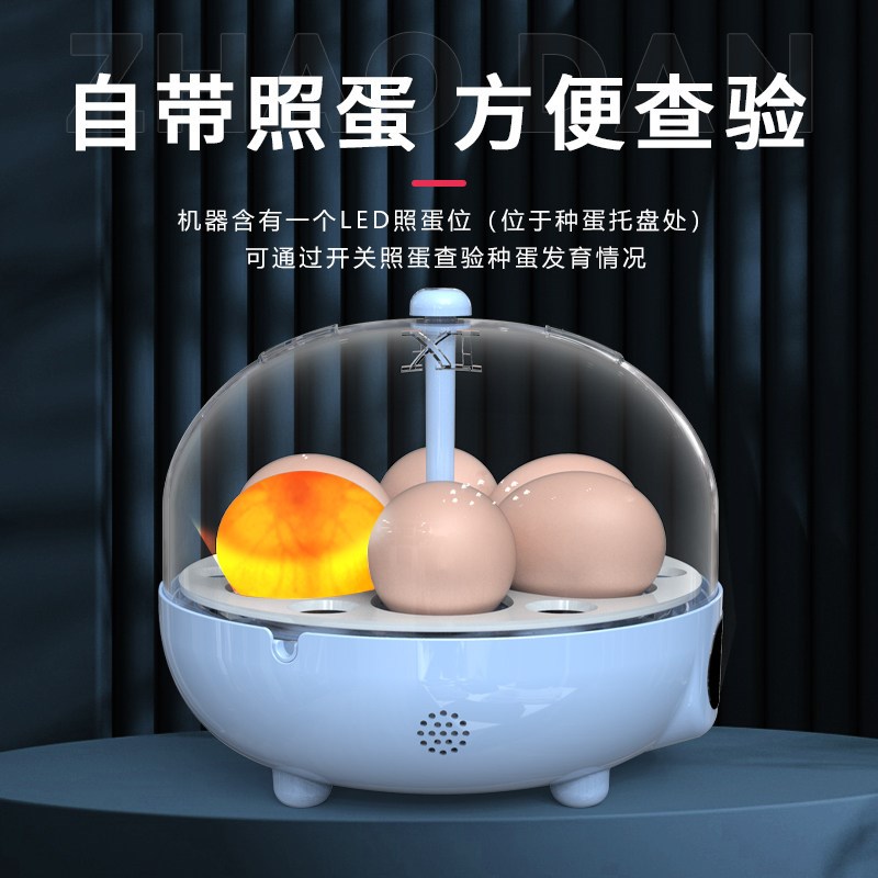 迷你孵化器家用全自动智能孵蛋器小型小鸡孵化机鹌鹑鹦鹉孵化箱