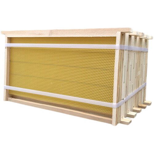 八千带框巢础成品杉木巢框巢脾中蜂意蜂巢基蜜蜂巢框养蜂工具蜂箱