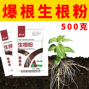 爆根生根粉水溶肥料强力生根剂根多多生根壮苗蔬菜果树通用型