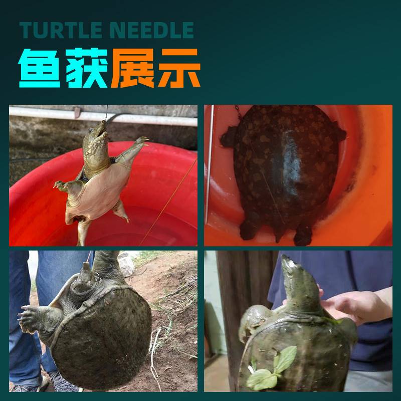 威拓森绑好甲鱼钩钓老鳖钩绑好王八钩专用神器黄鳝针团鱼黄鳝钩