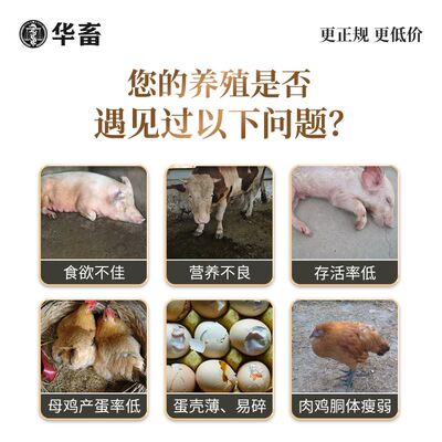 华畜兽用小苏打粉饲料添加剂碳酸氢钠养殖用猪牛羊禽用饲料小苏打