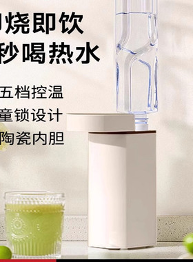 德国2026新款3S即热便携式烧水壶电热折叠饮水机旅行速热可上飞机