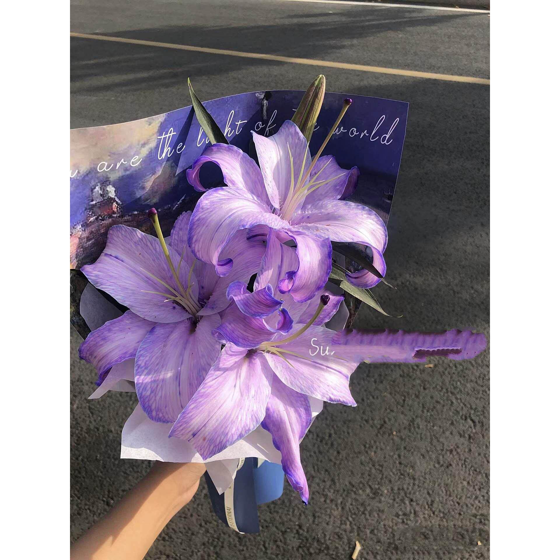 【暗夜精灵】紫色系鲜切花香水百合鲜花云南基地直发新品