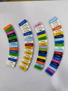 兼容乐高积木印刷零配件3010年份1年至20年year毕业季图案入司龄