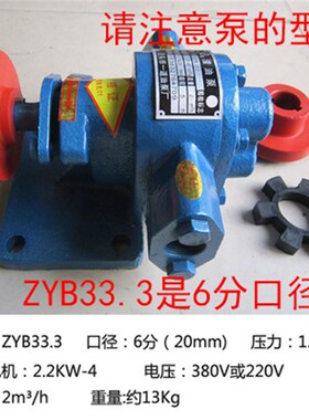 铸铁一道渣油泵ZYB155833高温家用小型加油抽油齿轮泵头新款电动