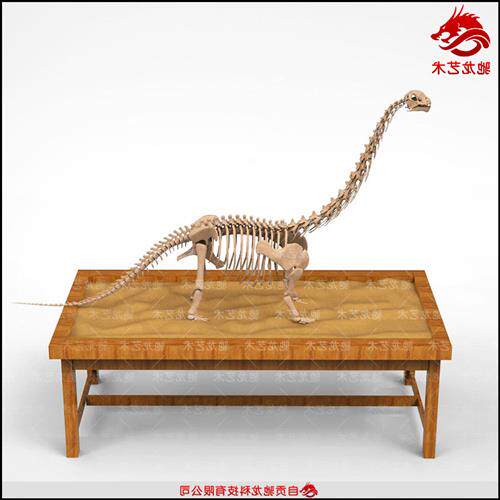 考古卓恐龙骨架商场儿童乐园大恐龙骨架化石模型摆件