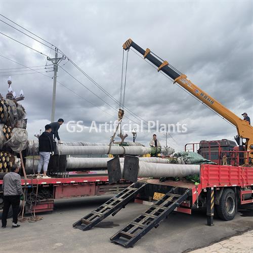 大型外贸仿真加拿利海枣树中东沙滩沙漠绿化工程造景跨境假海藻树