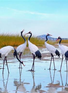 户外花园装饰仿真仙鹤玻璃钢庭院摆设水池造景丹顶鹤雕塑小品摆件