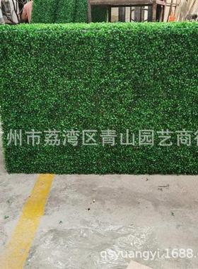 米兰草篱笆可定米兰草系列造型盆栽方块绿色仿真植物厂家
