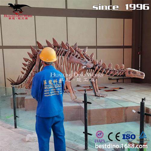 自贡大型仿真化石恐龙厂家恐龙化石骨架模型制作博物馆展览,文具电教/文化用品/商务用品,教学标本/模型,淘宝优惠券,粉丝福利购,淘宝优惠卷