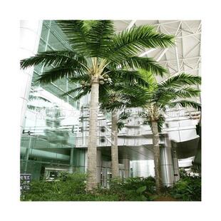 厂家供应园林景观仿真椰子树室内室外人造仿真夏威夷椰子树