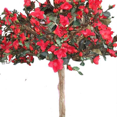 仿真木棉花树加密玻璃钢杆大型假树仿真园林假木棉花树假植物定