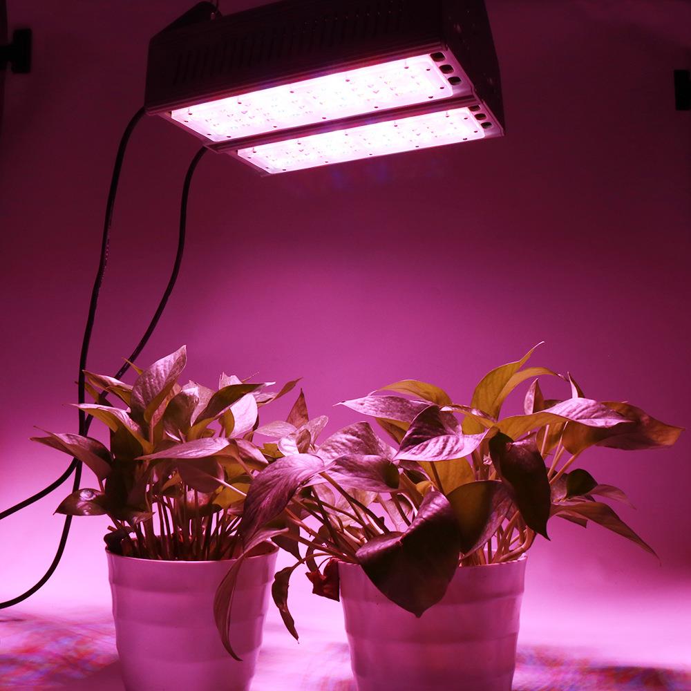 led种植灯防水双排双路全光谱植物灯LED生长灯补光灯大棚育苗灯