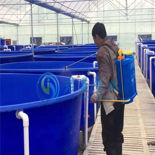 制作虾苗养车化间养化殖桶观赏UTQ鱼孵桶PE大型殖池
