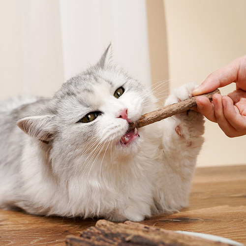 新品元気喵丨猫薄荷猫咪磨牙棒洁齿幼猫啃咬N逗猫棒木天蓼猫用品