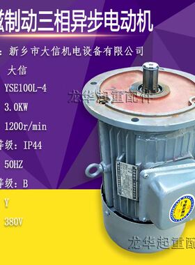 极速。起重机大车运行 软启动电机 wYSE100L-4 3.0kw 新乡市大信