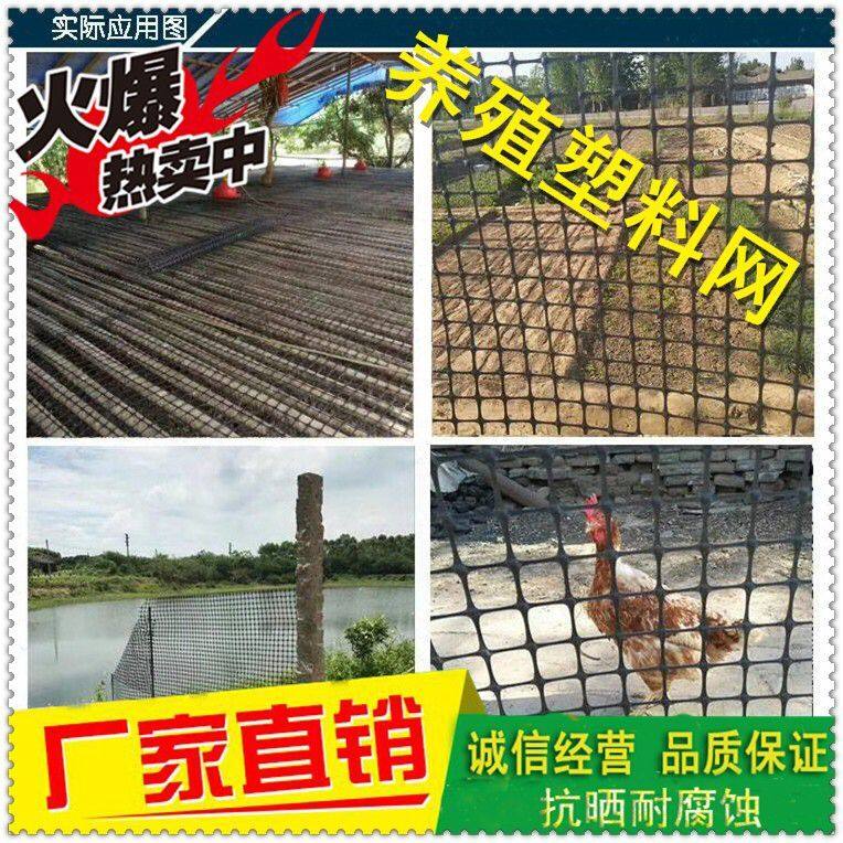 速发塑料网格养殖网塑料土工格栅养鸡围栏护栏网家用户外 防护网