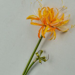 专用P手持拍照装 饰花假 古风系单支长杆仿真花彼岸花汉服古装 新品