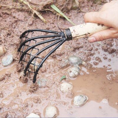 极速Clam Rake With Net 5 Claw Wood Handle MRake Shell Diggin