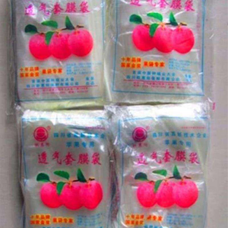 极速桃套袋套梨袋果实防鸟一次性加厚果树塑M料袋袋子保护双层防
