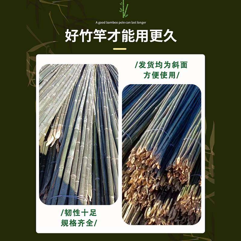 极速黄瓜丝瓜爬藤架竹竿s子菜园搭架豆角篱笆彩旗菜架种菜小竹子,鲜花速递/花卉仿真/绿植园艺,栅栏,淘宝优惠券,粉丝福利购,淘宝优惠卷