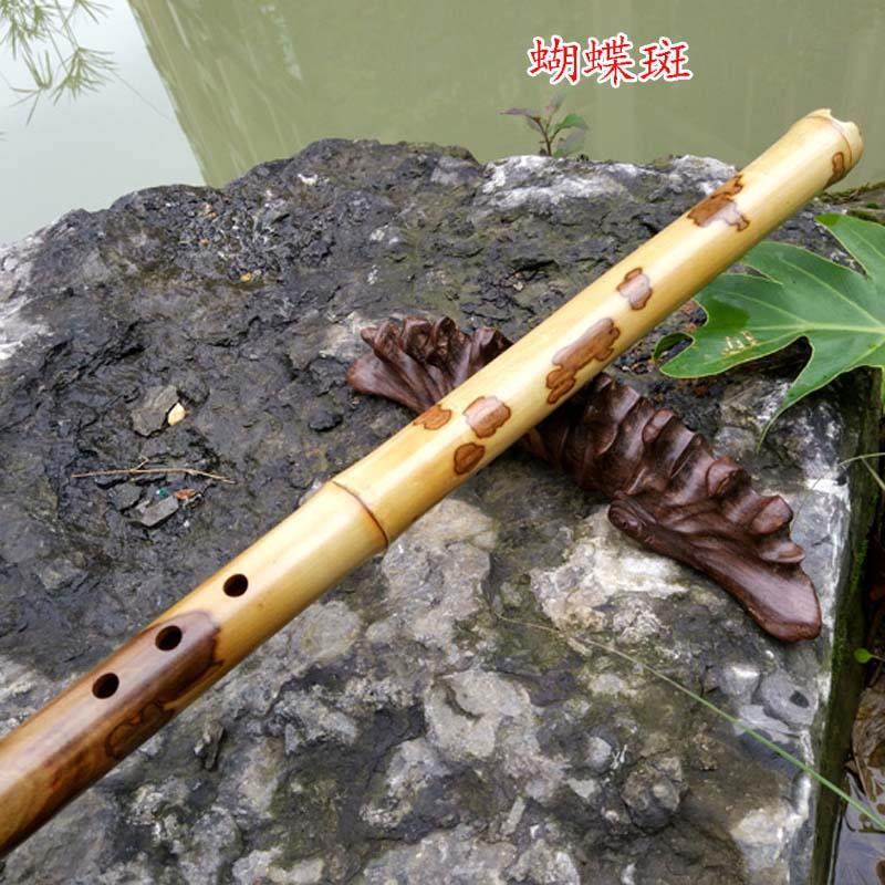 极速l特c海湘妃竹斑洞箫蝴蝶竹箫乐器六欧八孔张船海演奏箫包
