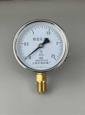 上海天湖YE-100膜盒压力表0-10KPA 微压表 风压表 M20*1.5螺纹