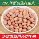 2023白沙花生米生新大颗粒白沙花生米生新花生米农家大粒花生仁