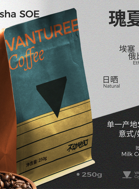 瑰夏自由SOE咖啡豆 柑橘 蔗糖 拿铁 美式浓缩新鲜中度烘焙咖啡豆