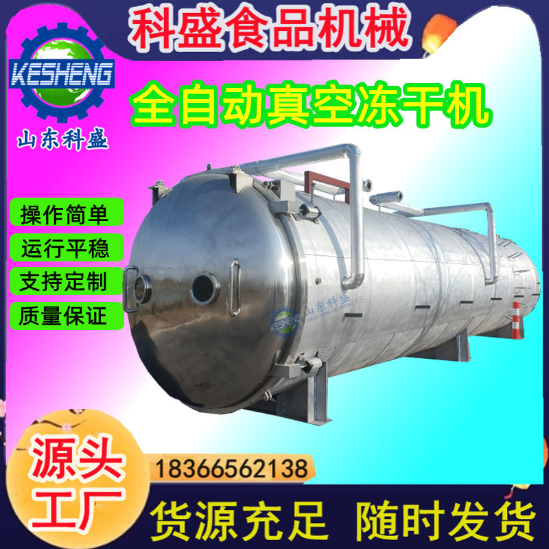 定制柠檬片真空冻干机 水果脆片真空冷冻干燥机 面膜冷冻干燥机