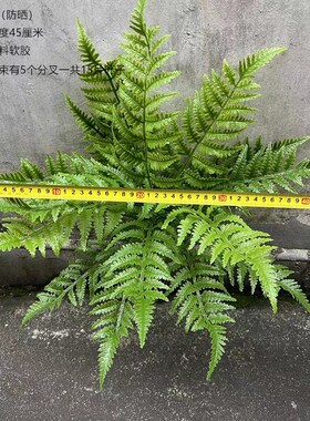 新新款室外防晒防紫外线 仿真绿植把束J波斯草凤尾蕨鳞毛蕨雨林植