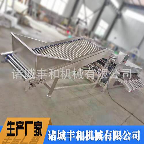 蜜桔人参果分选设备 水果分级机厂家供应 柠檬分级机 柑子分级机